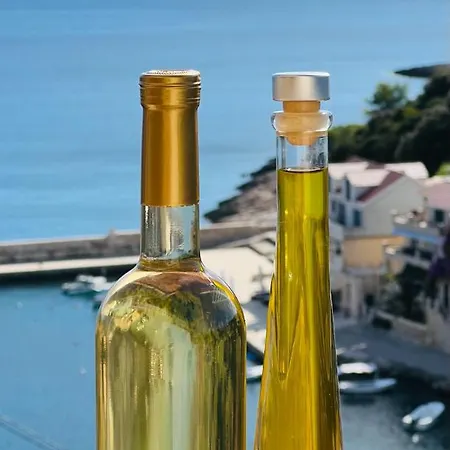 Apartman Daniela Zavalatica