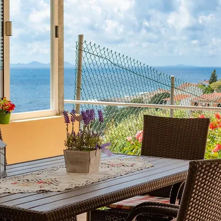 Daniela Apartament Zavalatica